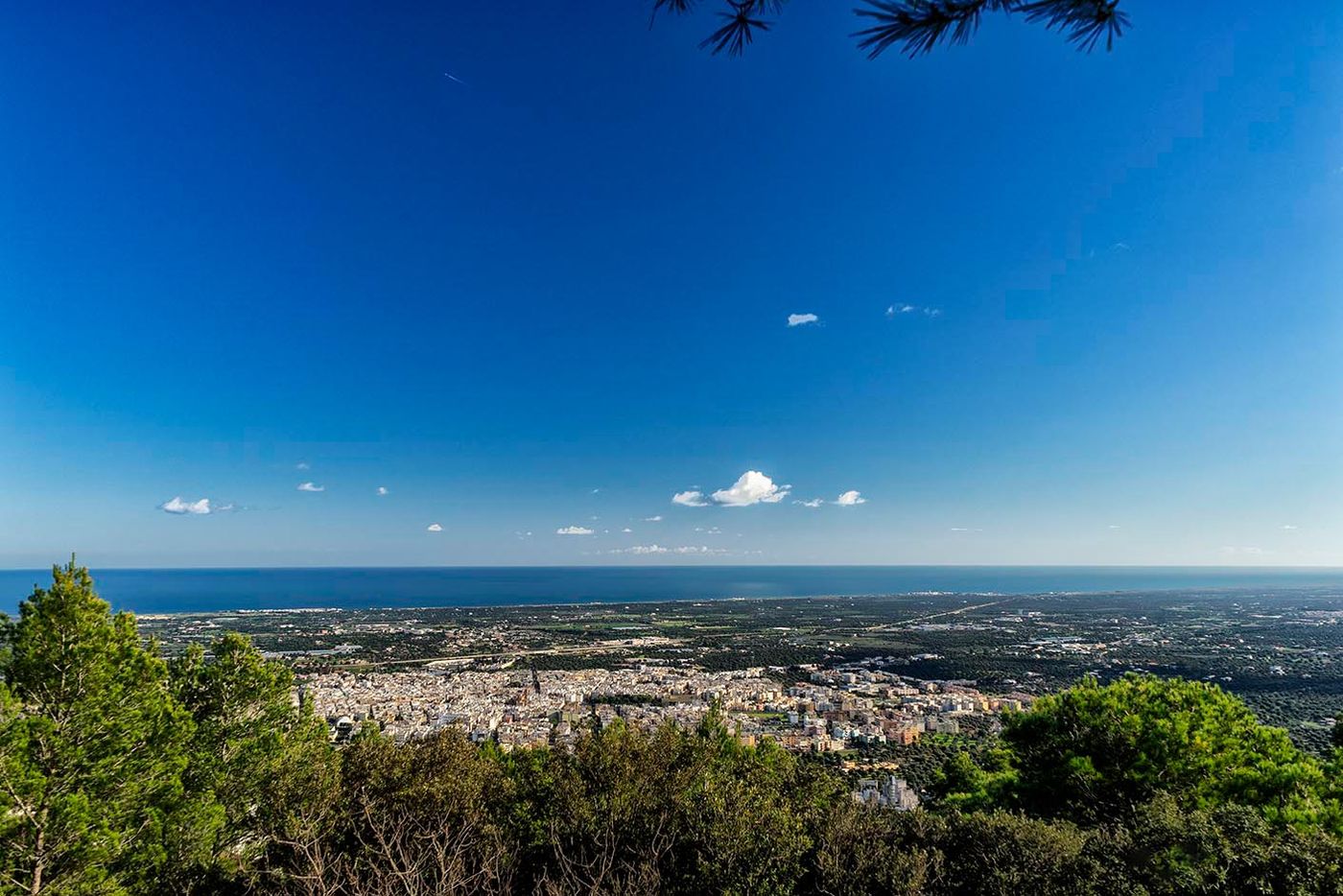 Panorama di Fasano dalla Selva, con il mare sullo sfondo